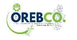 Logo orebco